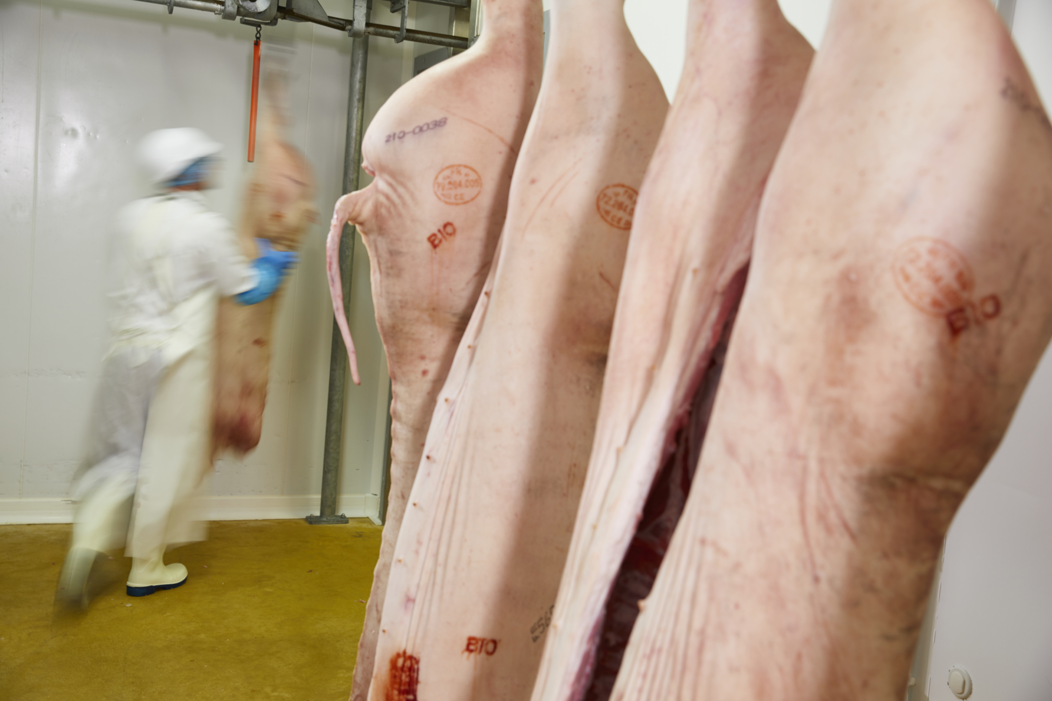 Les carcasses